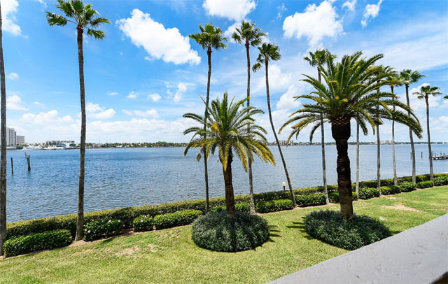 Palm Beach Market News